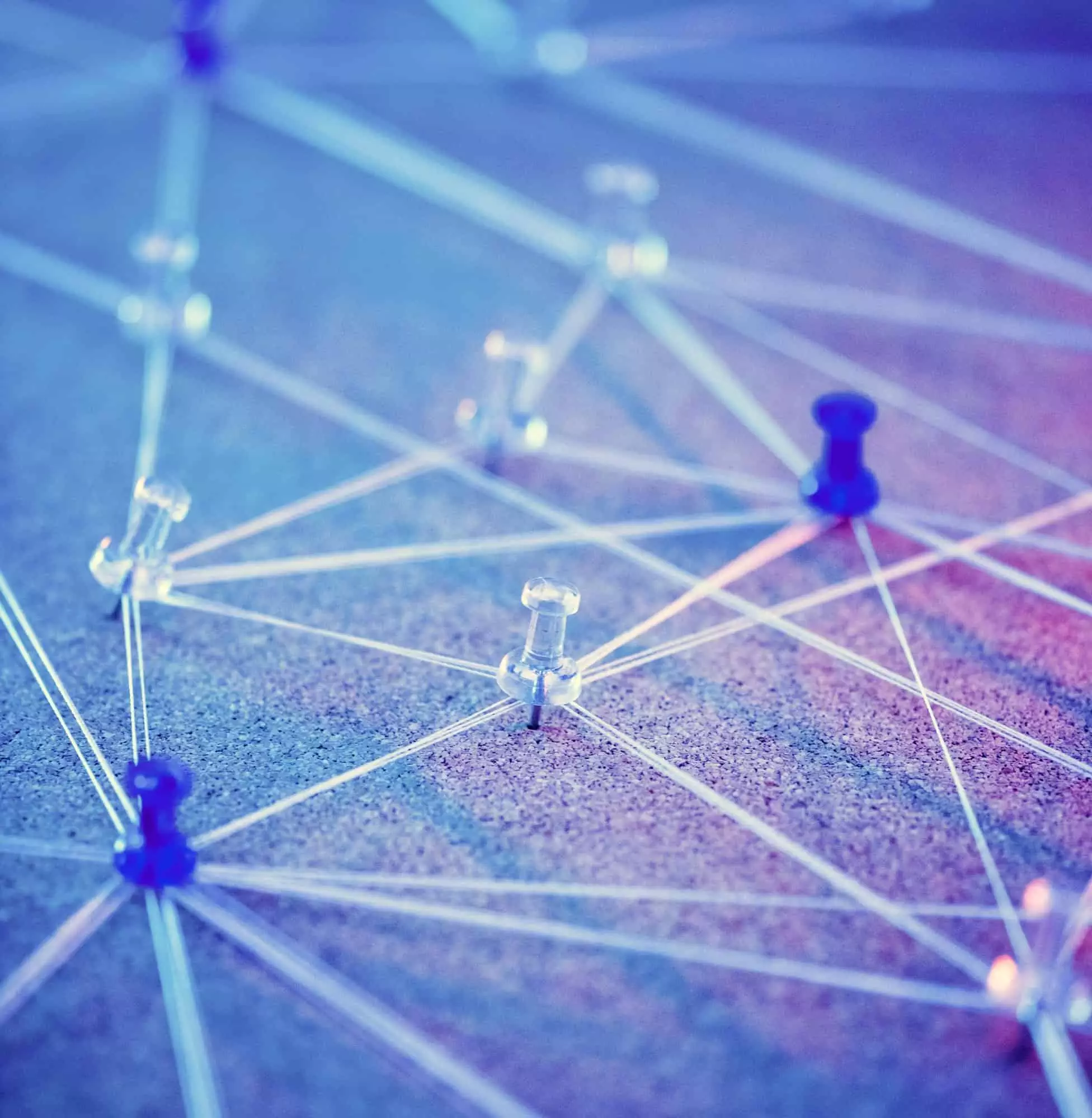 Internet network connecting system simulated